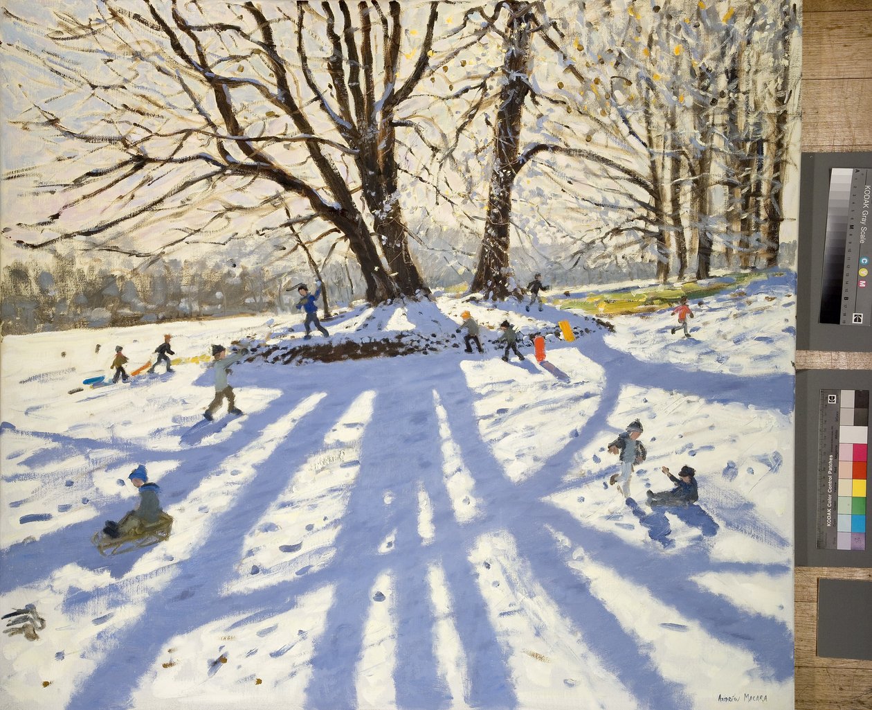 Lomberdale Hall, Derbyshire de Andrew Macara