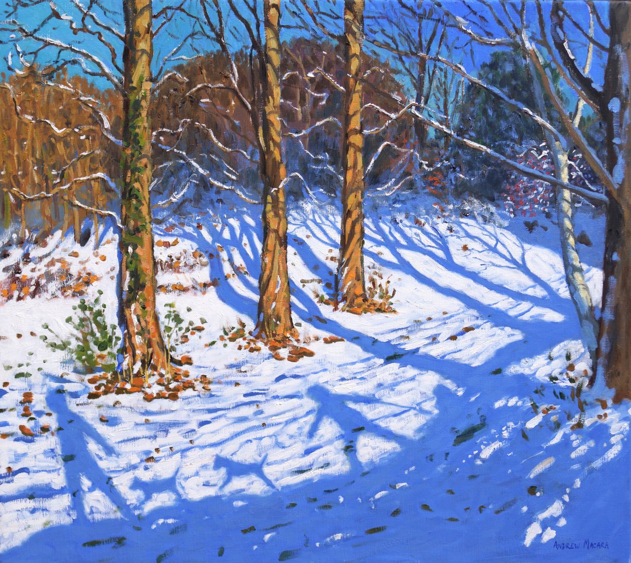 Neve de novembro, Allestree Park, Derby, 2017, de Andrew Macara