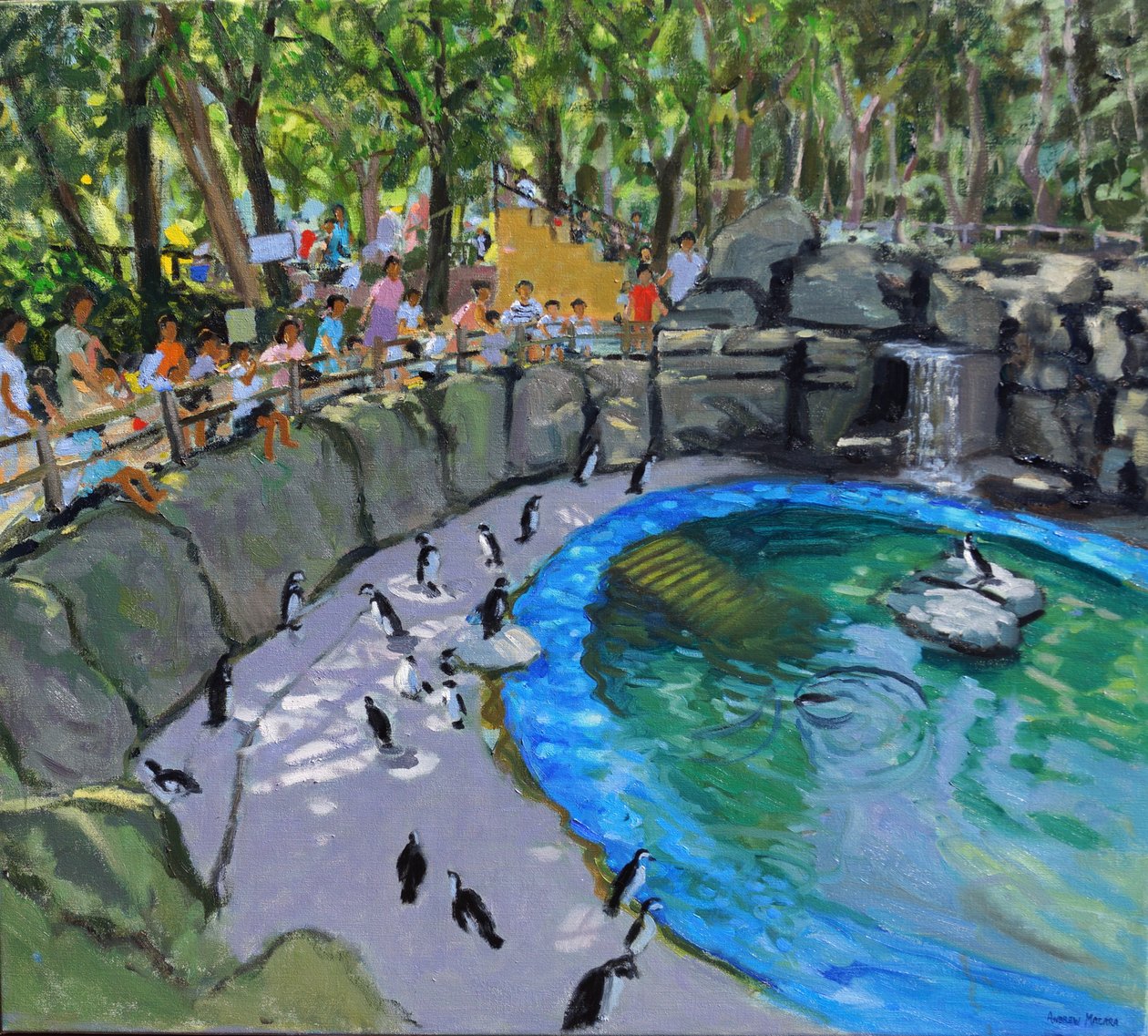 Pinguim Piscina, Jardim Zoológico de Madrid. 2015 de Andrew Macara