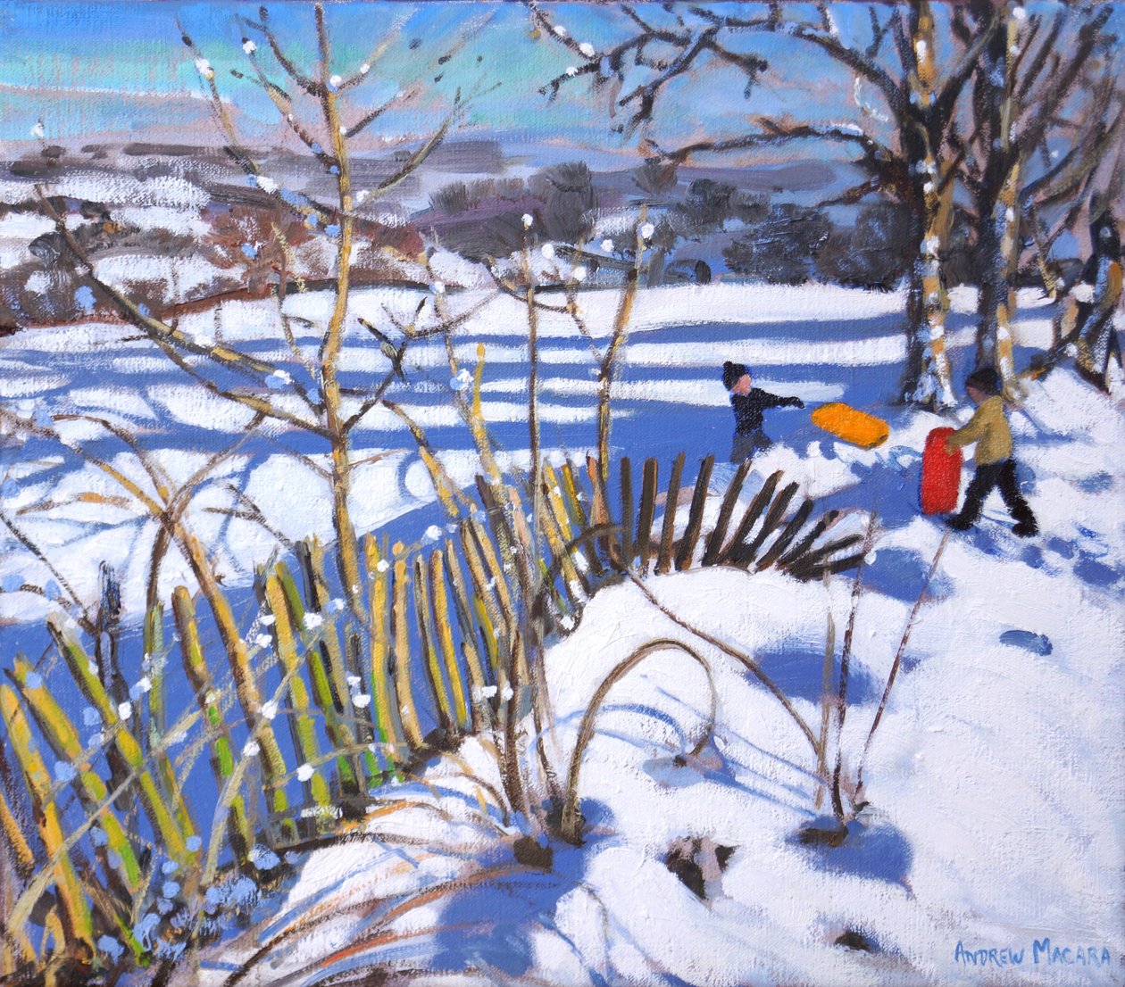 Trenós vermelhos e laranja, Derbyshire, 2017, de Andrew Macara