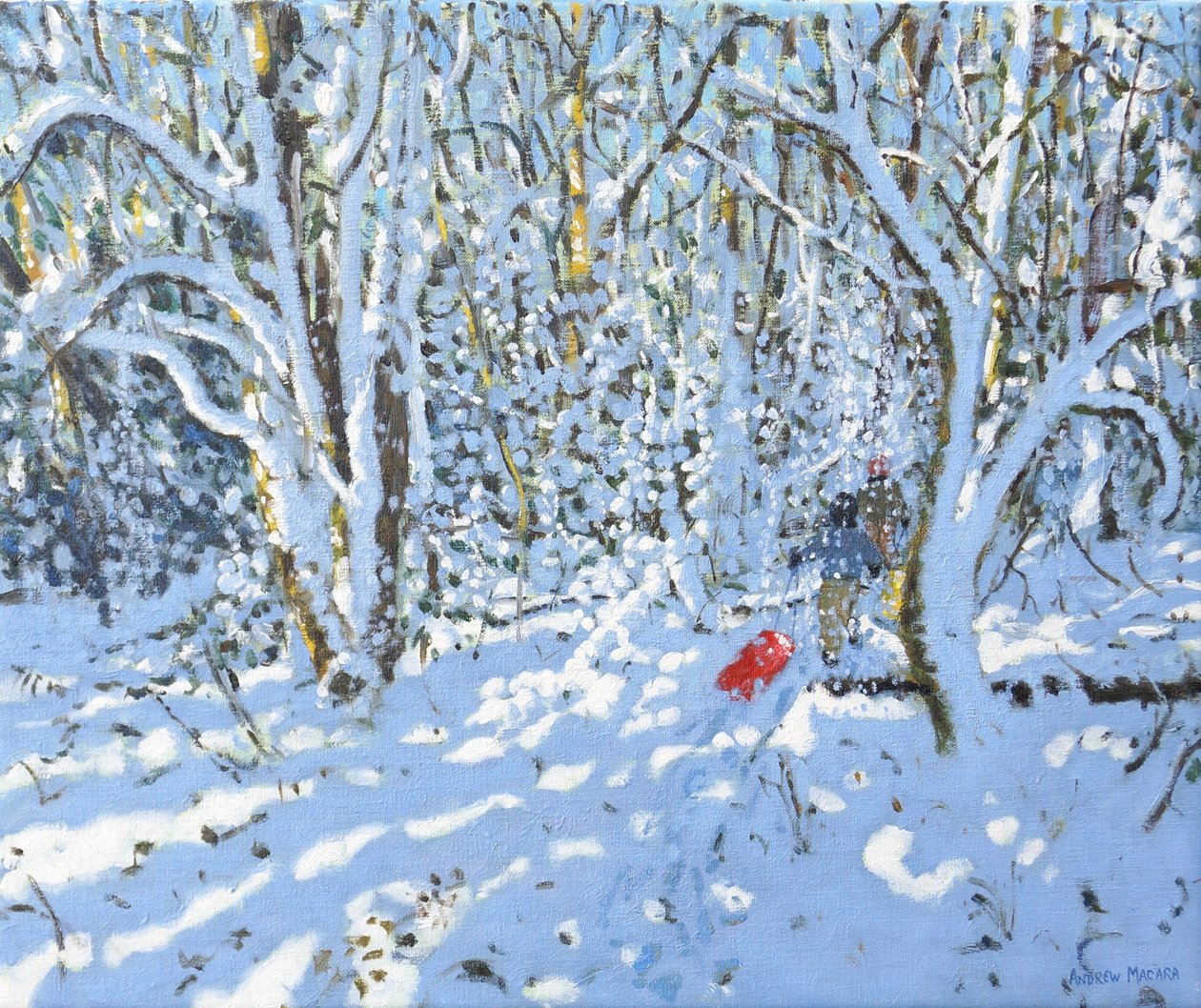 Red sledge, Allestree Park, Derby, 2022 (óleo sobre tela) de Andrew Macara