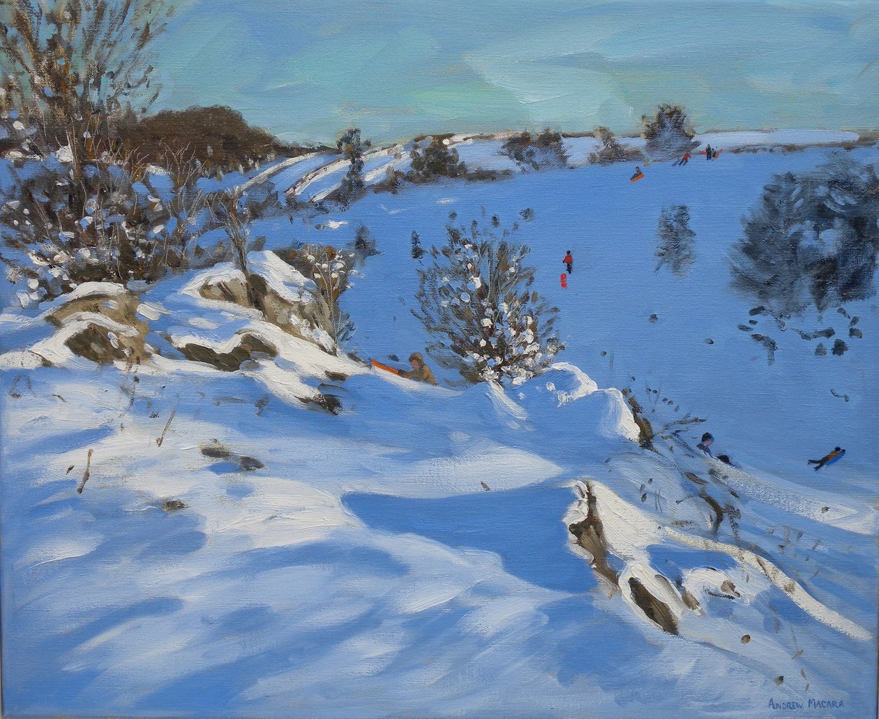 Trenós, Derbyshire, 2011 de Andrew Macara
