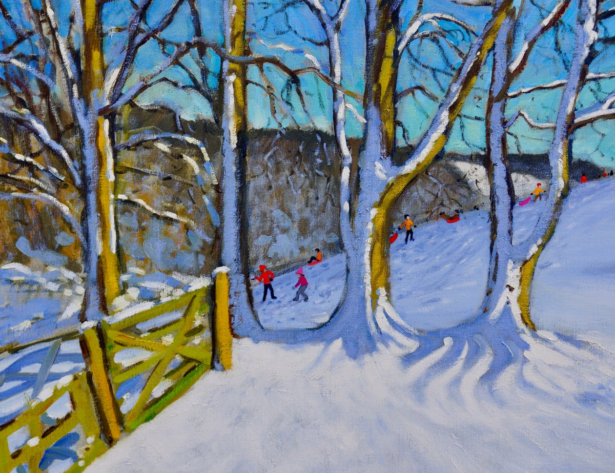 Trenó, Pista da Barragem, Derbyshire, 2017, de Andrew Macara