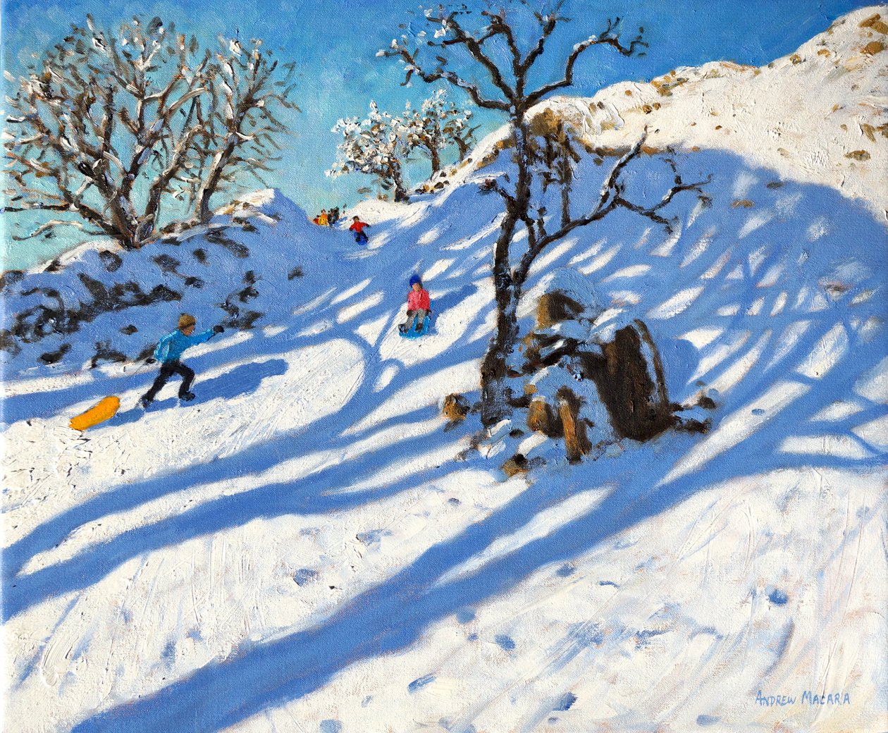 Trenó, Ponte Glutão, Buxton, Derbyshire, 2016 de Andrew Macara