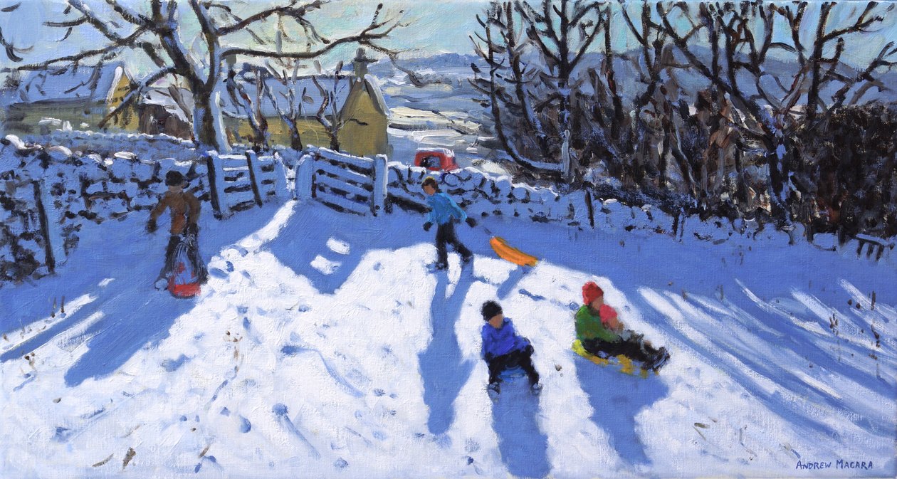 Sledging,Hartington,Buxton,2020 de Andrew Macara