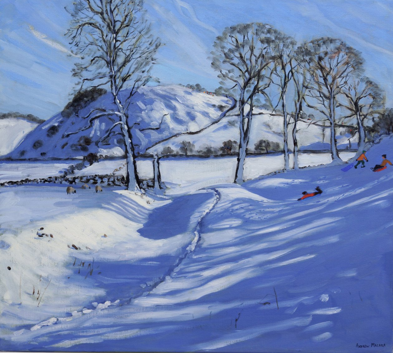 Trenó, Derbyshire Peak District, 2012 de Andrew Macara