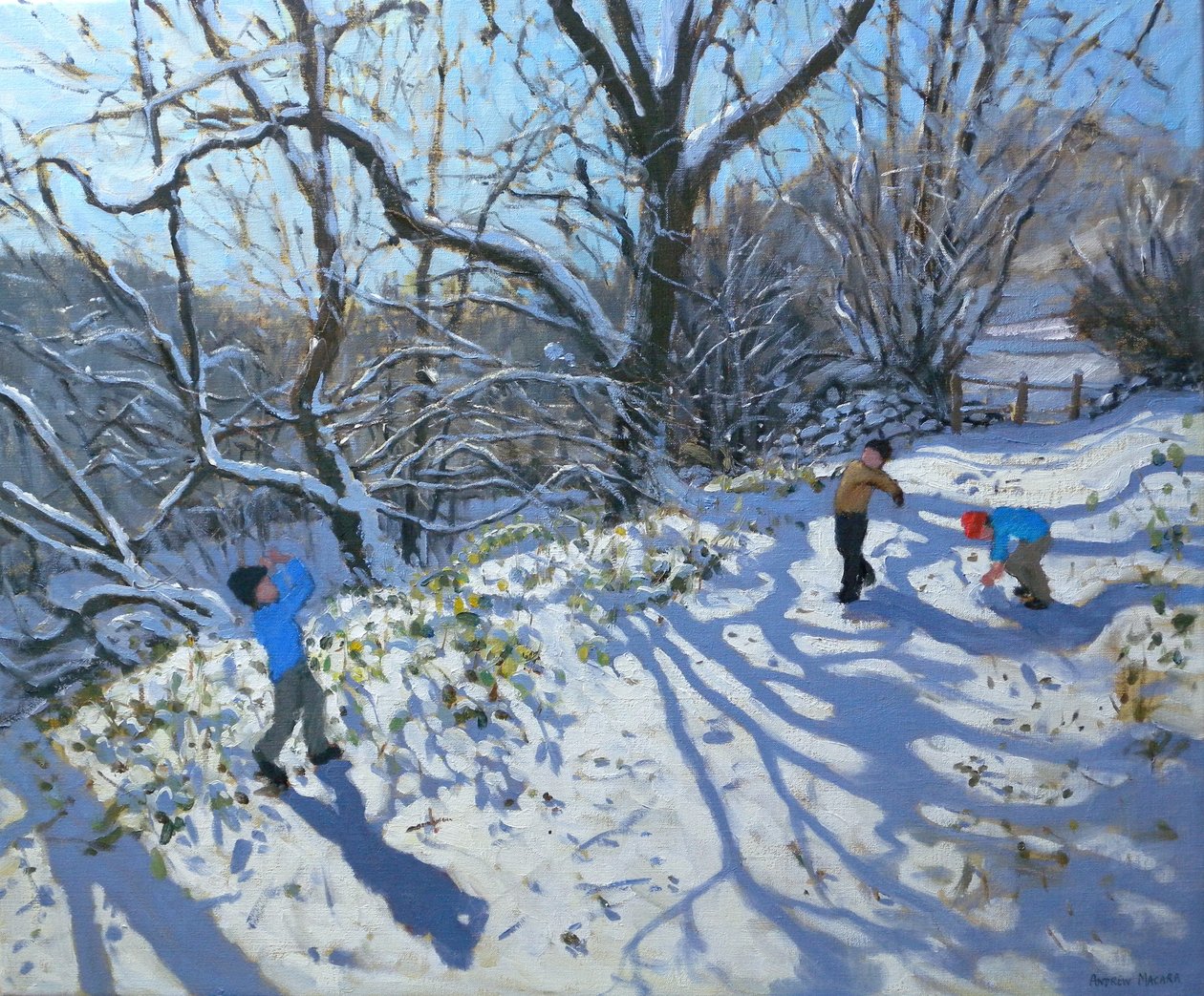 Luta de bolas de neve, 2007 de Andrew Macara