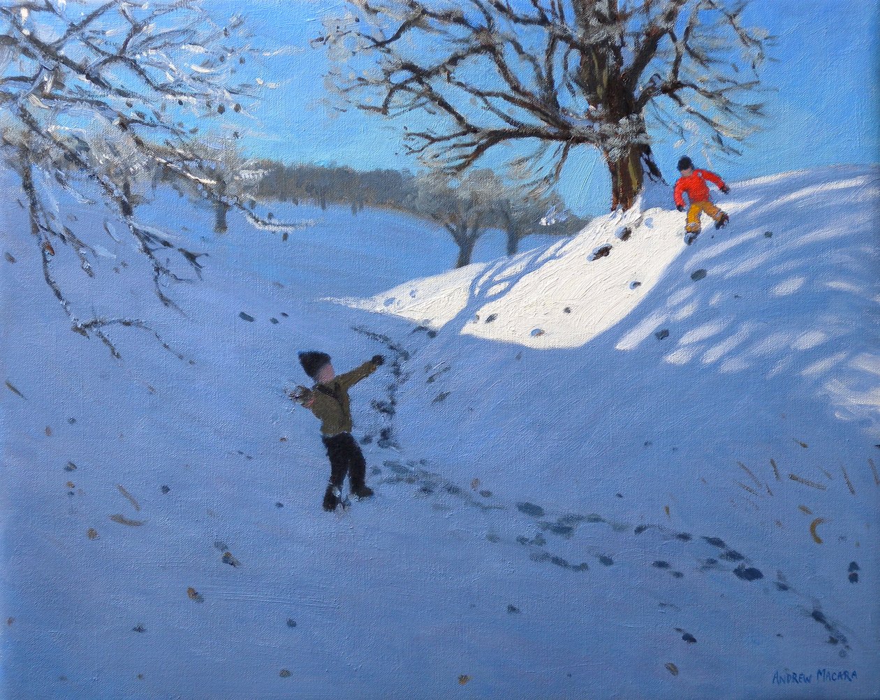 Bola de neve, 2011 (óleo sobre tela) de Andrew Macara
