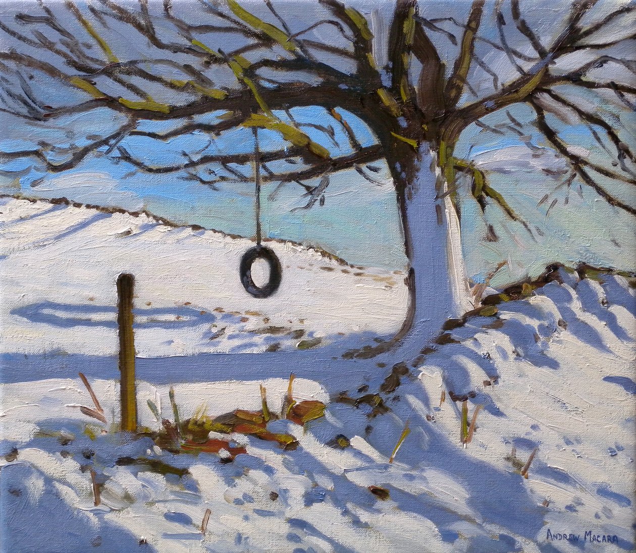 The Swing, 2011 (óleo sobre tela) de Andrew Macara