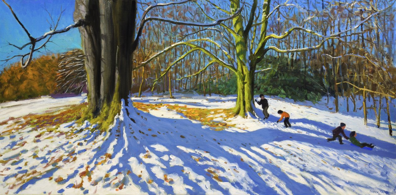 Topo do Allestree Park, 2014 (óleo sobre tela) de Andrew Macara