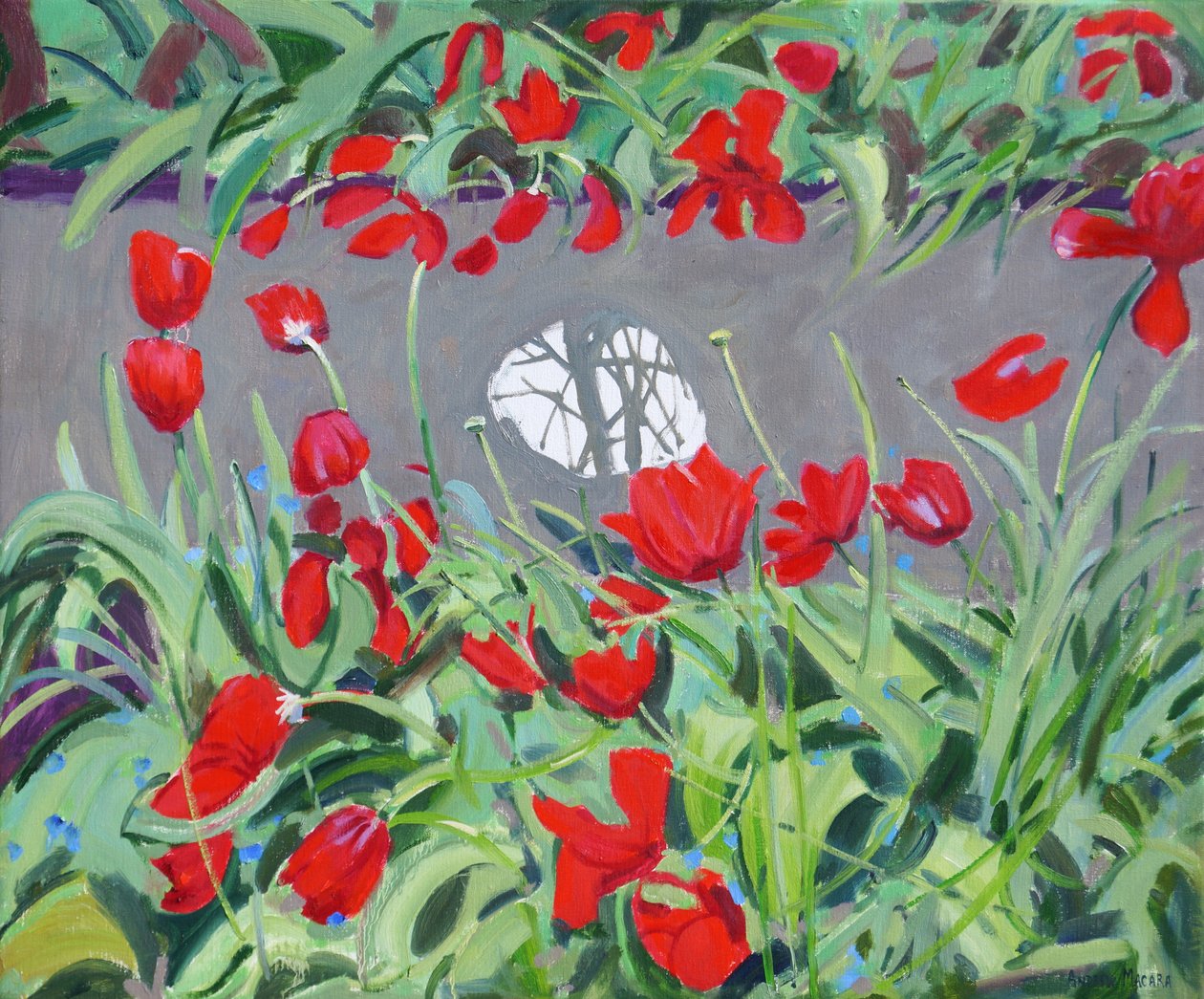Tulipas e reflexão, 2017, de Andrew Macara