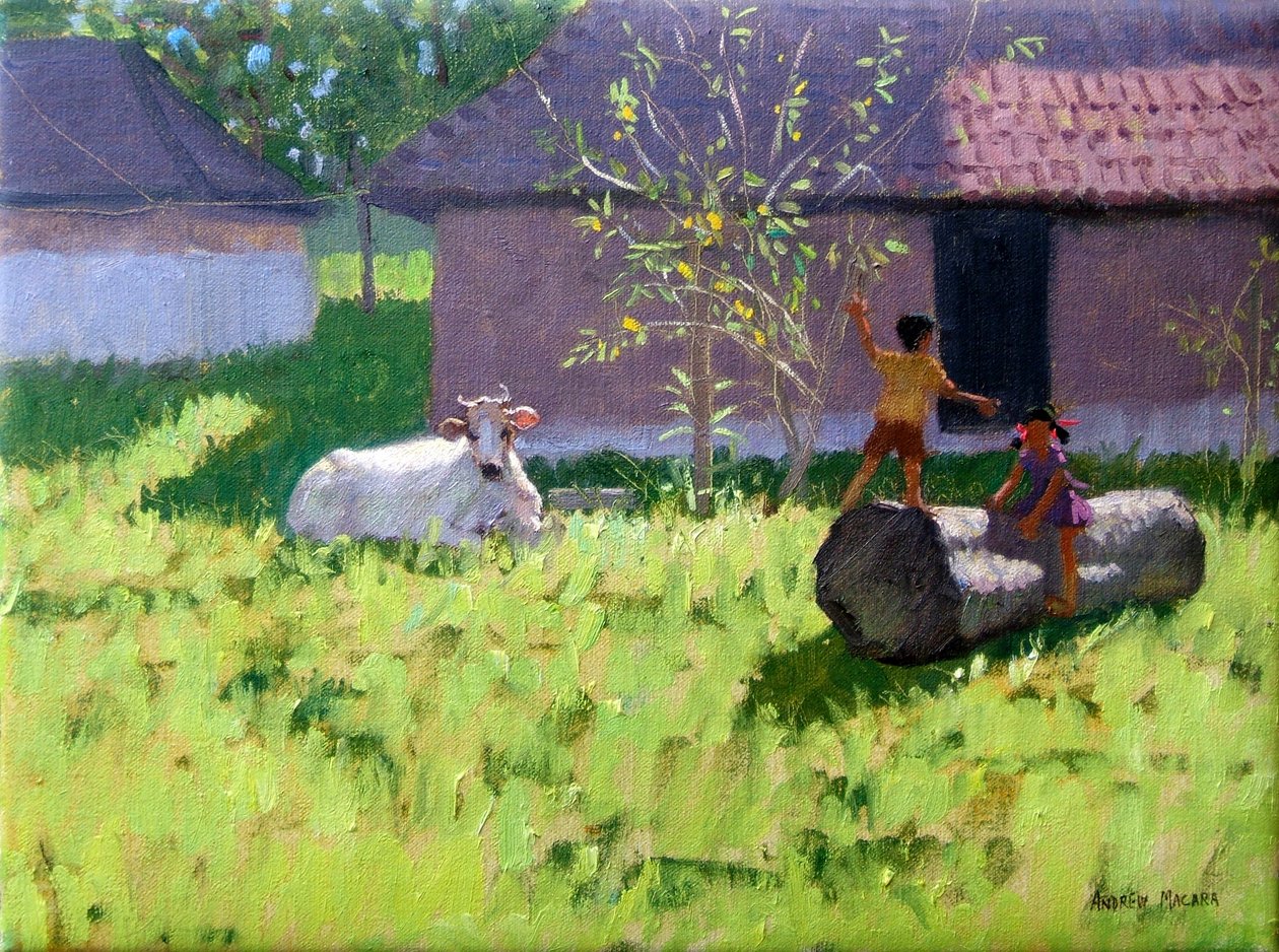 Branca, vaca, e, dois, crianças, MANKOTTA, ilha, kerala, índia de Andrew Macara