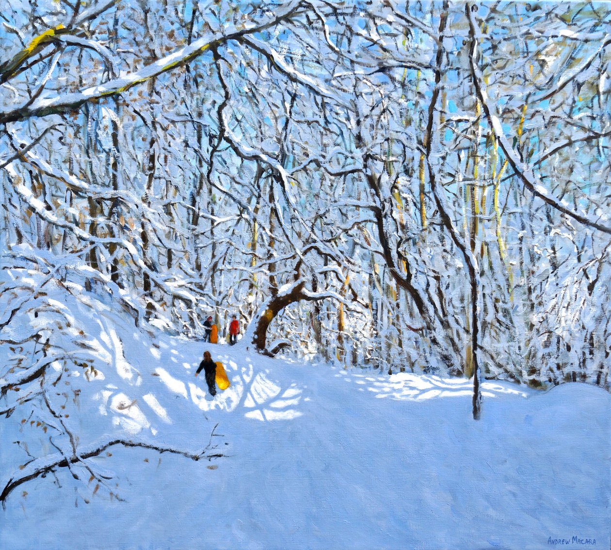 Trenós amarelos e laranjas, Allestree Park, Derby. 36 x 40,2018, de Andrew Macara