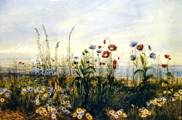 A View of Kingstown and Dublin Bay (aguarela sobre papel) de Andrew Nicholl
