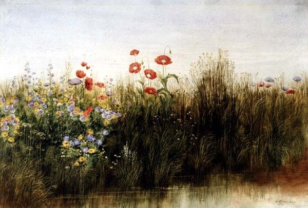 Flores silvestres por um riacho (aguarela) de Andrew Nicholl