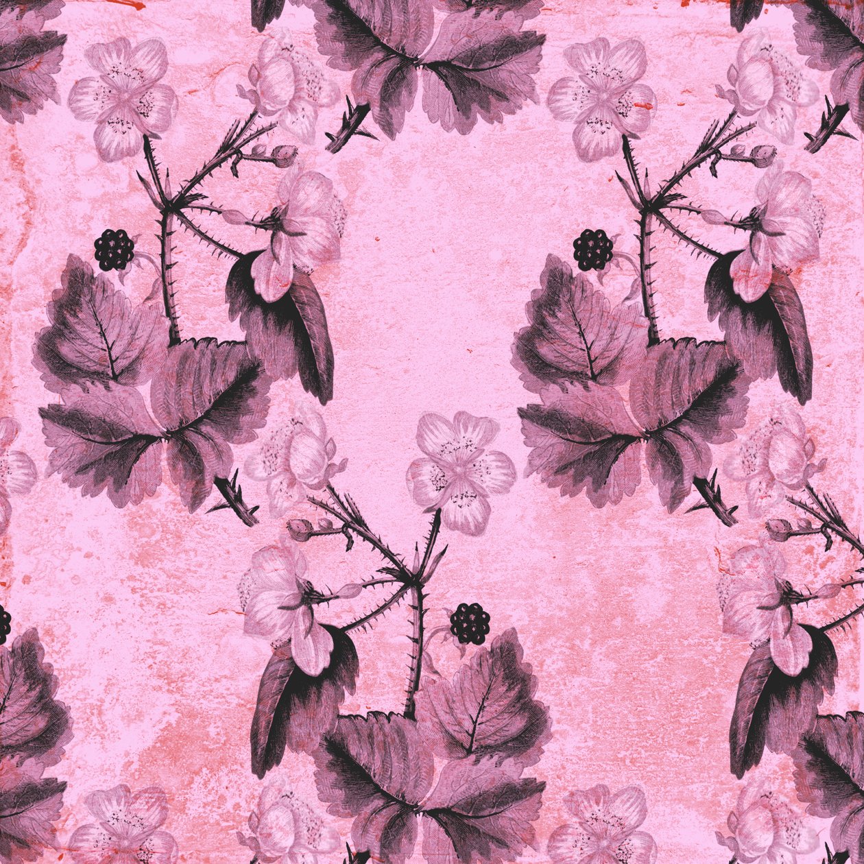 Blackberry Floral, 2017, aquarela e digital de Andrew Watson
