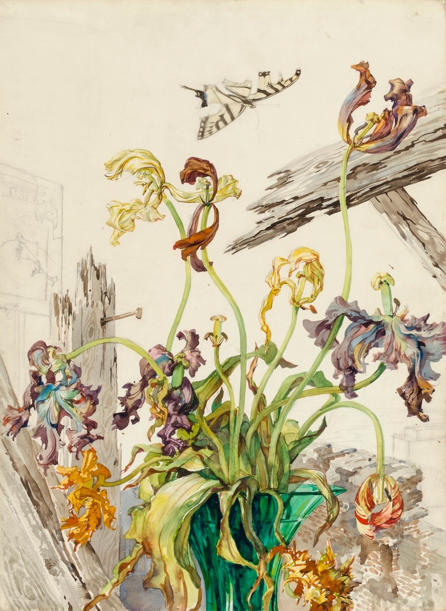 Tulipas de Andrey Avinoff