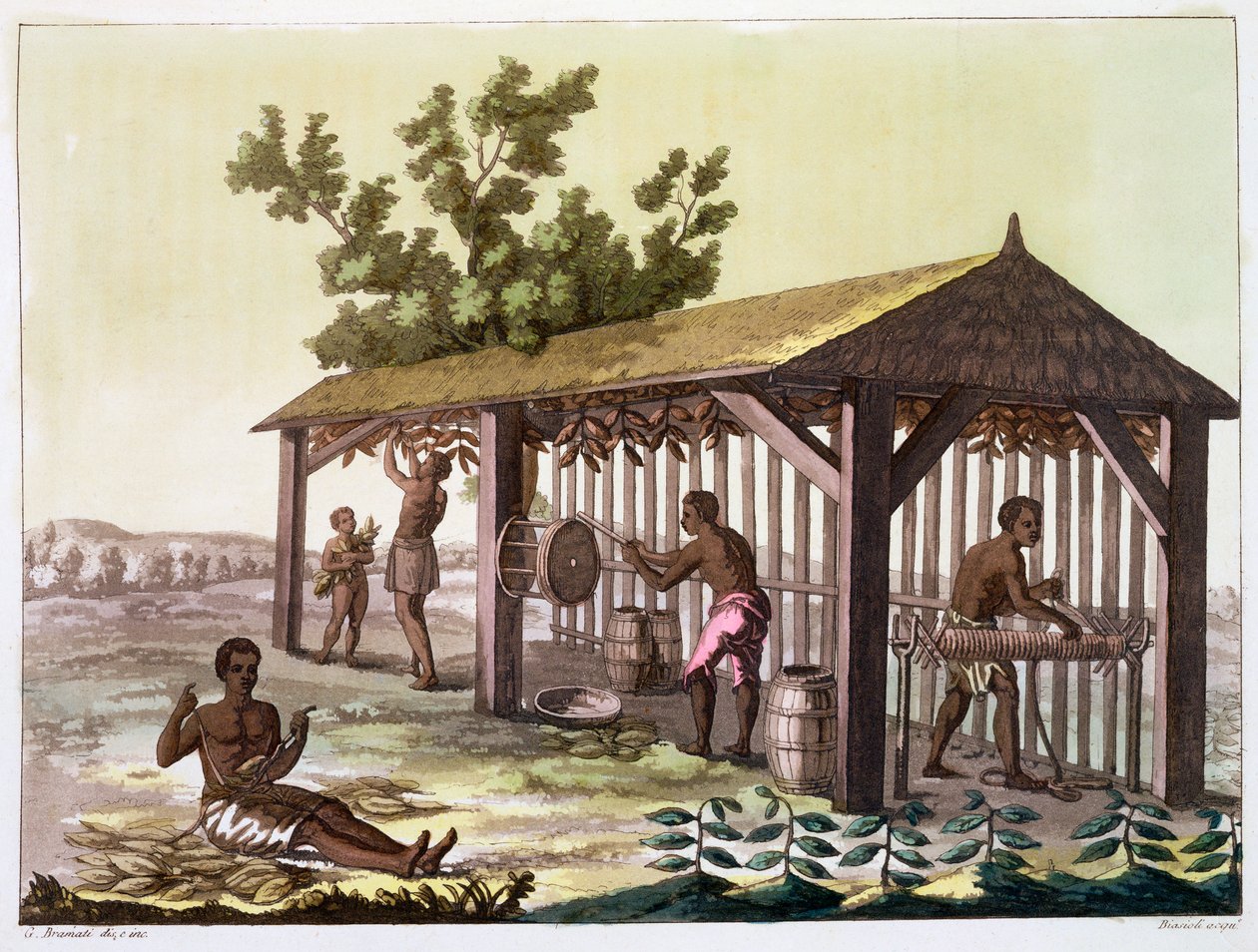 Escravos preparando tabaco, Virgínia, EUA. c1790 c1820-1839 de Angelo Biasioli