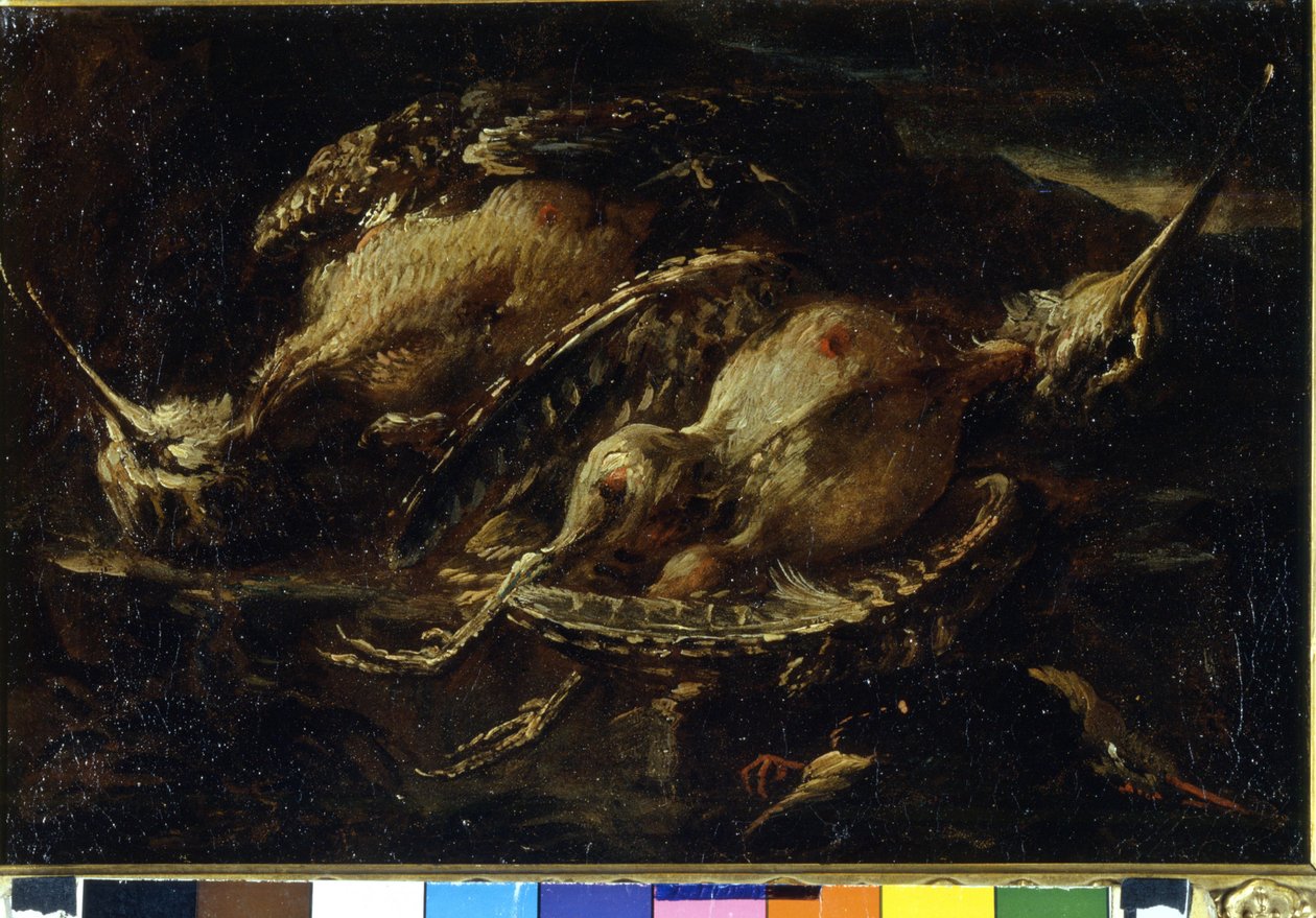 Natureza morta dos pássaros. Pintura de Angelo Maria Crivellone (? - 1730/60?). Milão, CRA. de Angelo Maria Crivelli