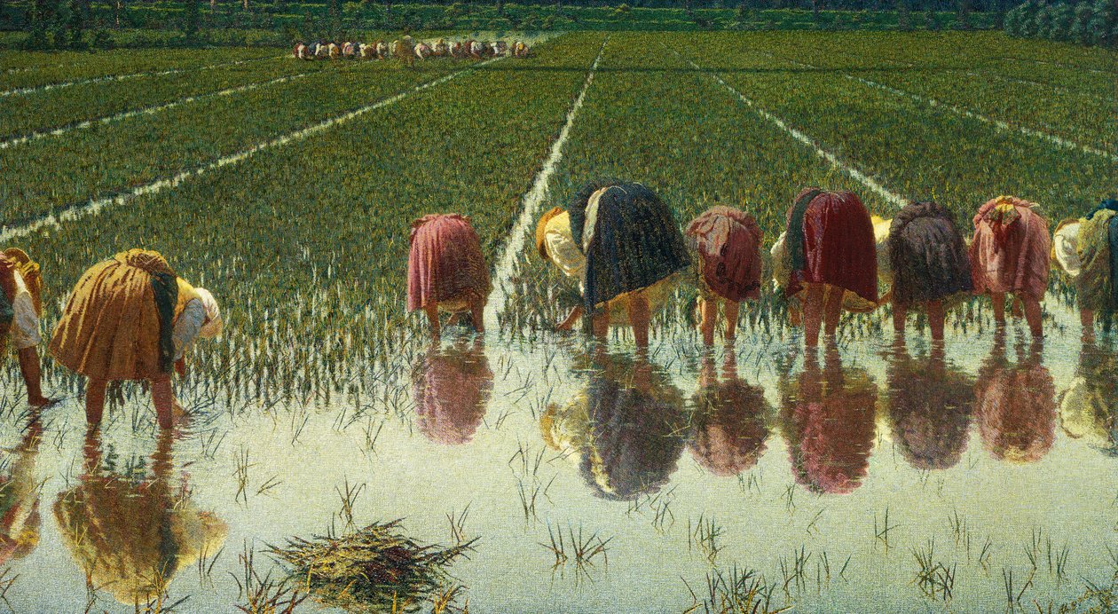 Por oitenta centavos, de Angelo Morbelli (1853-1919), Óleo sobre tela, 67,5x124,5 cm de Angelo Morbelli