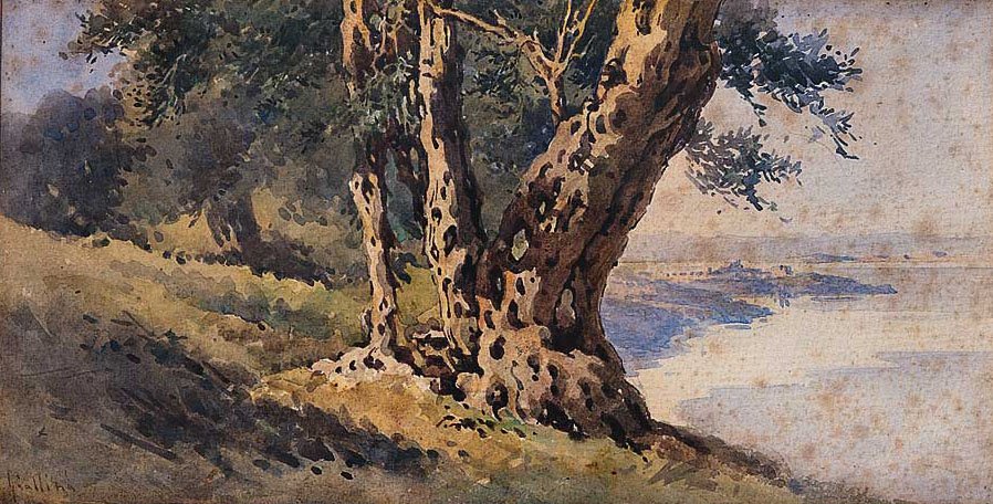 nEnglish: Landscapen de Angelos Giallinas