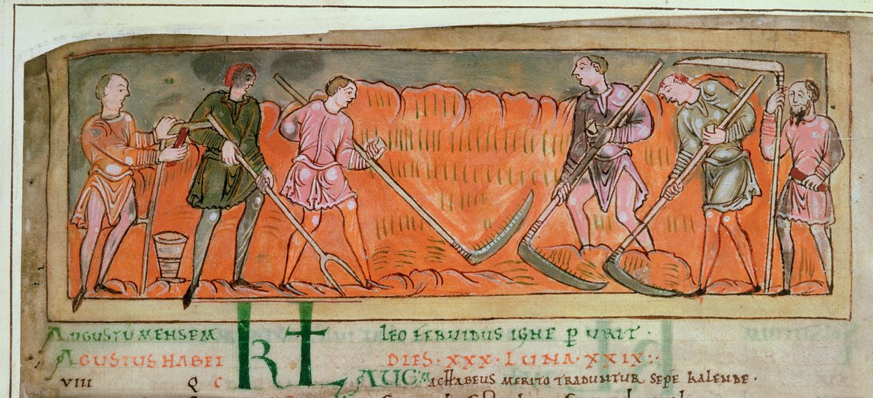 Cott Tib B V F.6V Colheita, de um calendário, c.1030 (Vellum) (Detalhe de 41681) de Anglo Saxon