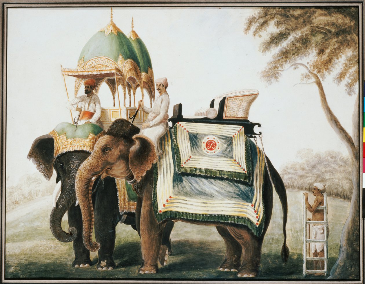 Elefantes com seu Cornaca, c.1815 de Anglo Indian School