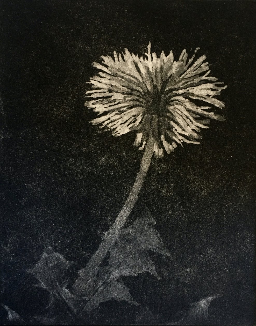 Hope, 2019 (gravura e aquatint sobre papel) de angus hampel