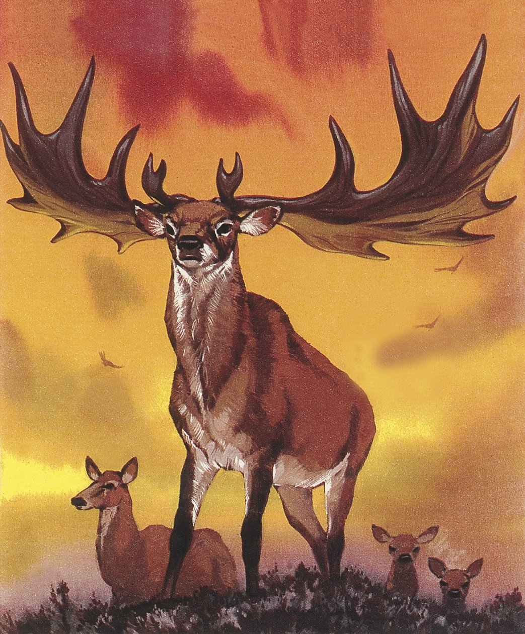 Gigante cada de Angus McBride
