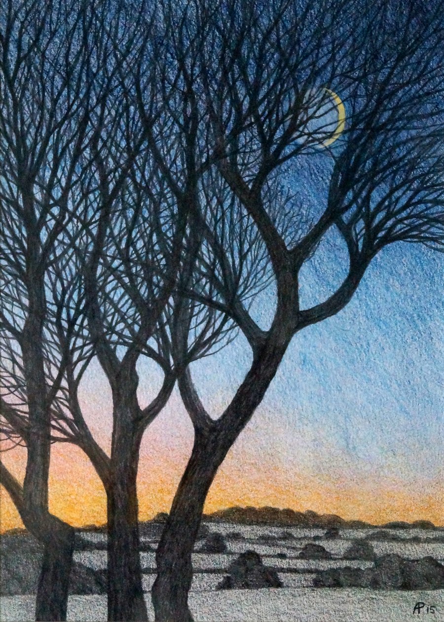 Árvores e Lua, 2015 (mídia mista no papel) de Anna Phillips
