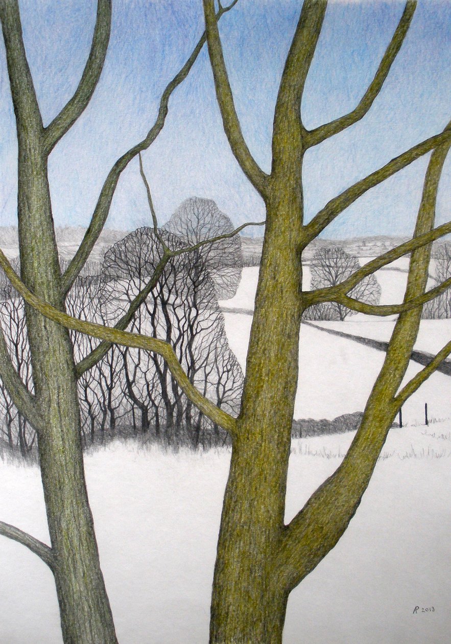 Dia de inverno, 2013 (lápis e lápis colorido sobre papel) de Anna Phillips