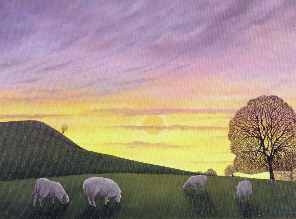 Barratts Hill, 2004 de Anna Phillips