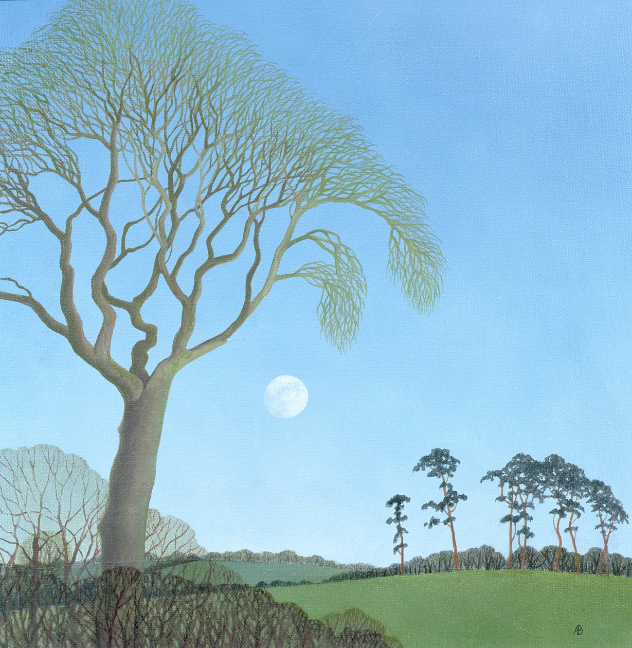 Lua adiantada, 2007 de Anna Phillips