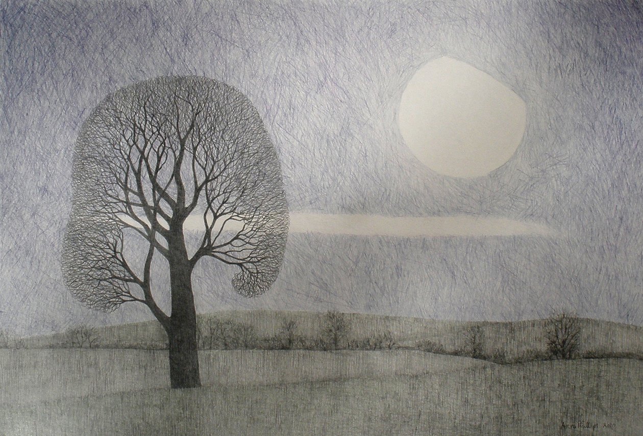 Lua de fevereiro de 2010 (lápis colorido sobre papel) de Anna Phillips