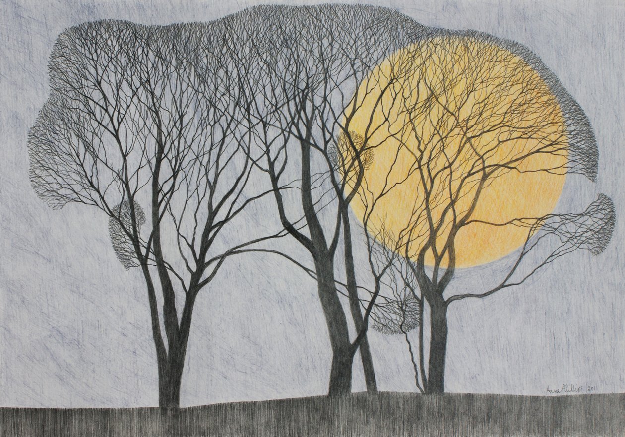 Megamoon, 2011 (lápis colorido sobre papel) de Anna Phillips