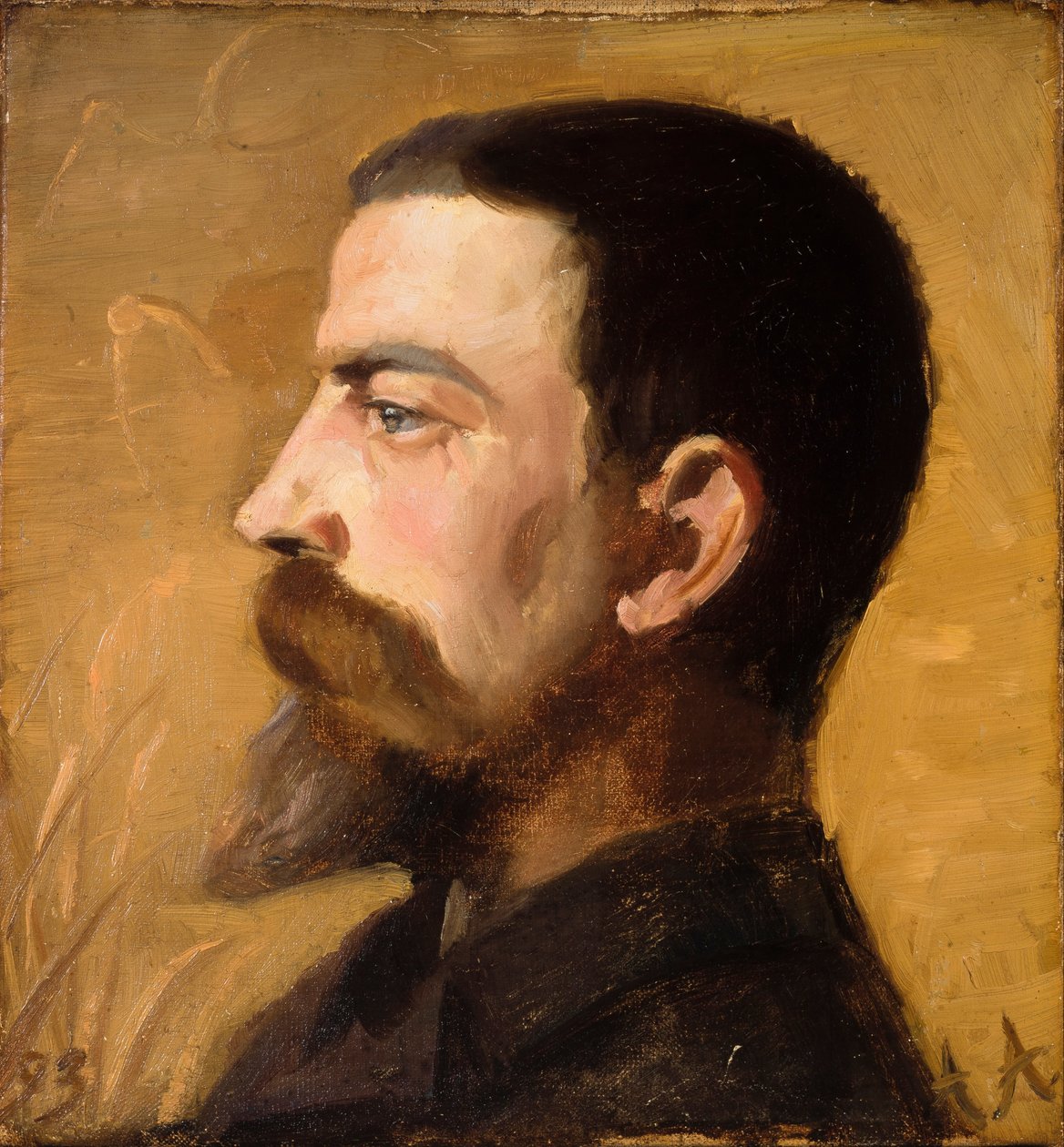 Valdemar Schønheyder Møller de Anna Ancher