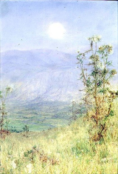A Colheita do Idler de Anna Alma Tadema