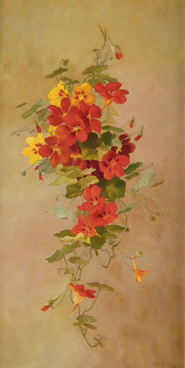 Chagas de Anna Eliza Hardy