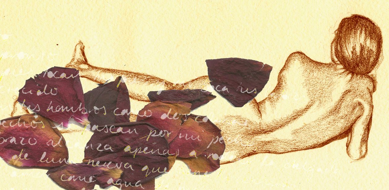 De volta de Anna Platts