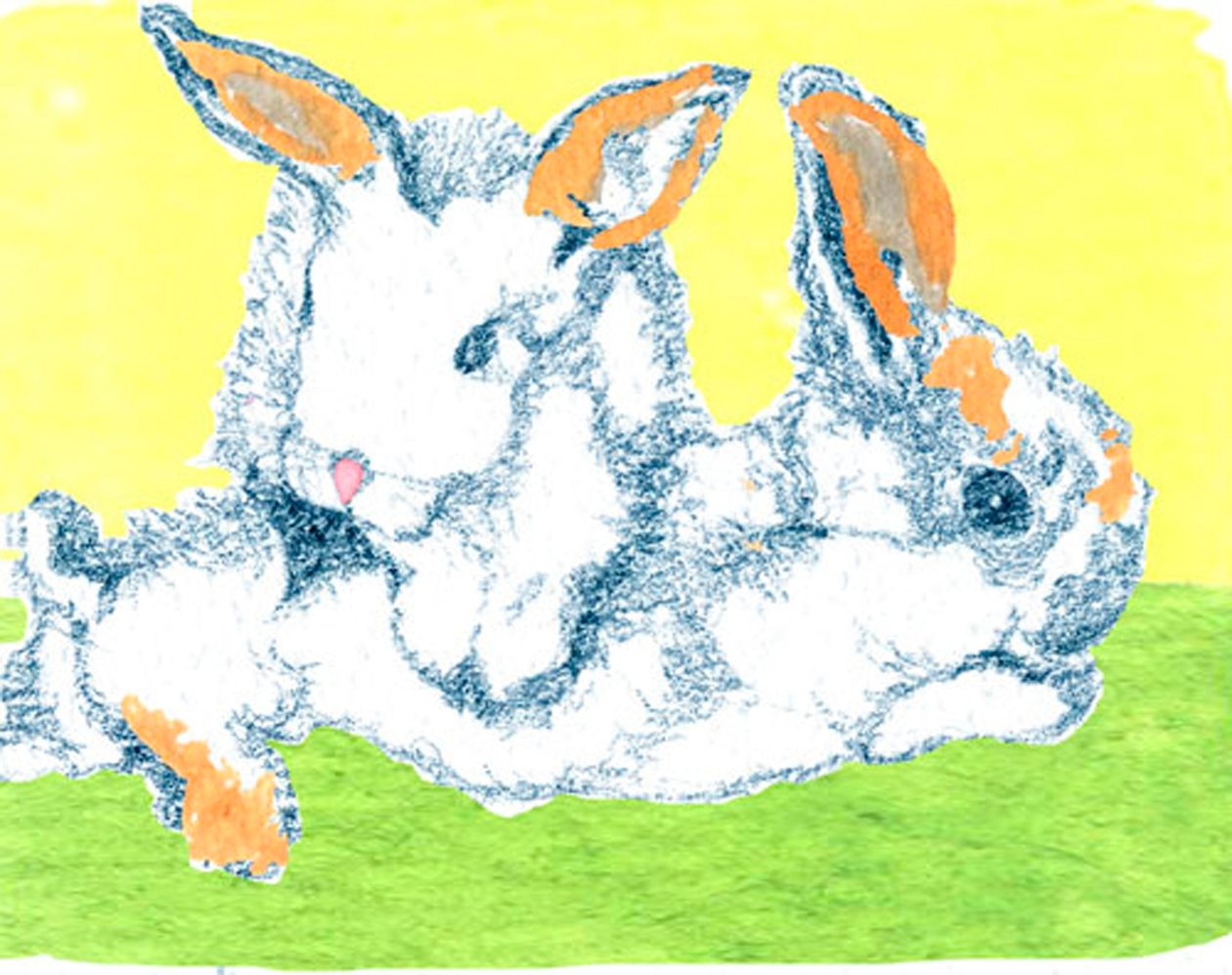 Coelhinhos da páscoa de Anna Platts