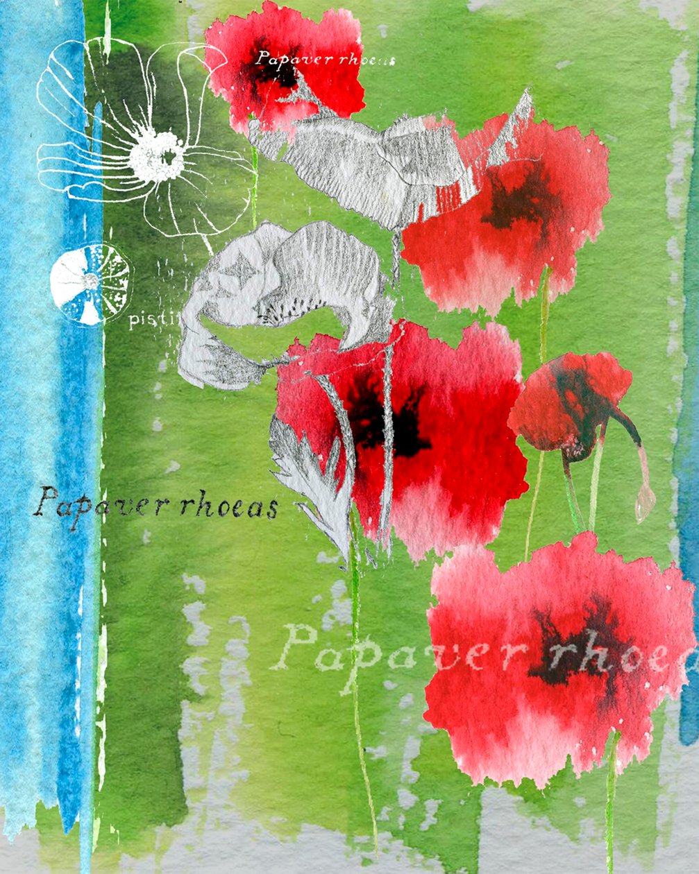Papoula de Anna Platts