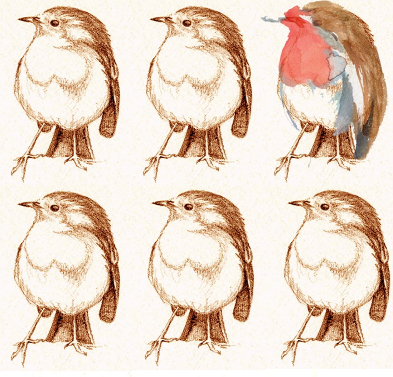 Robin de Anna Platts