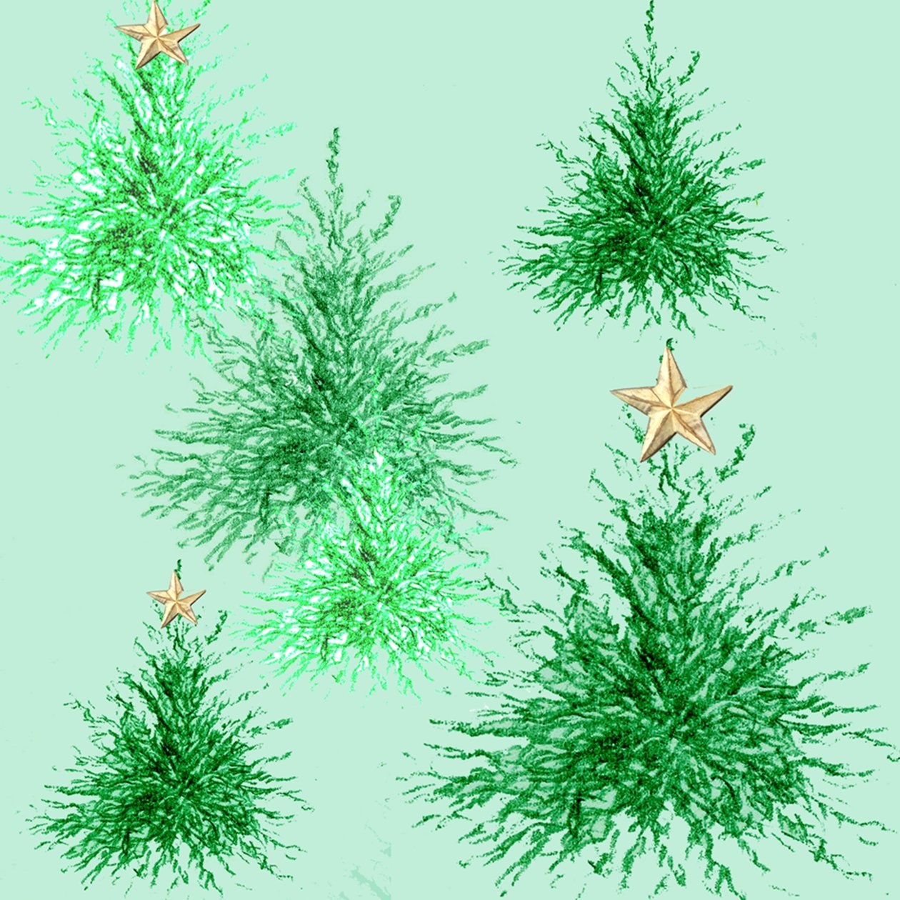 Árvores da estrela de Anna Platts
