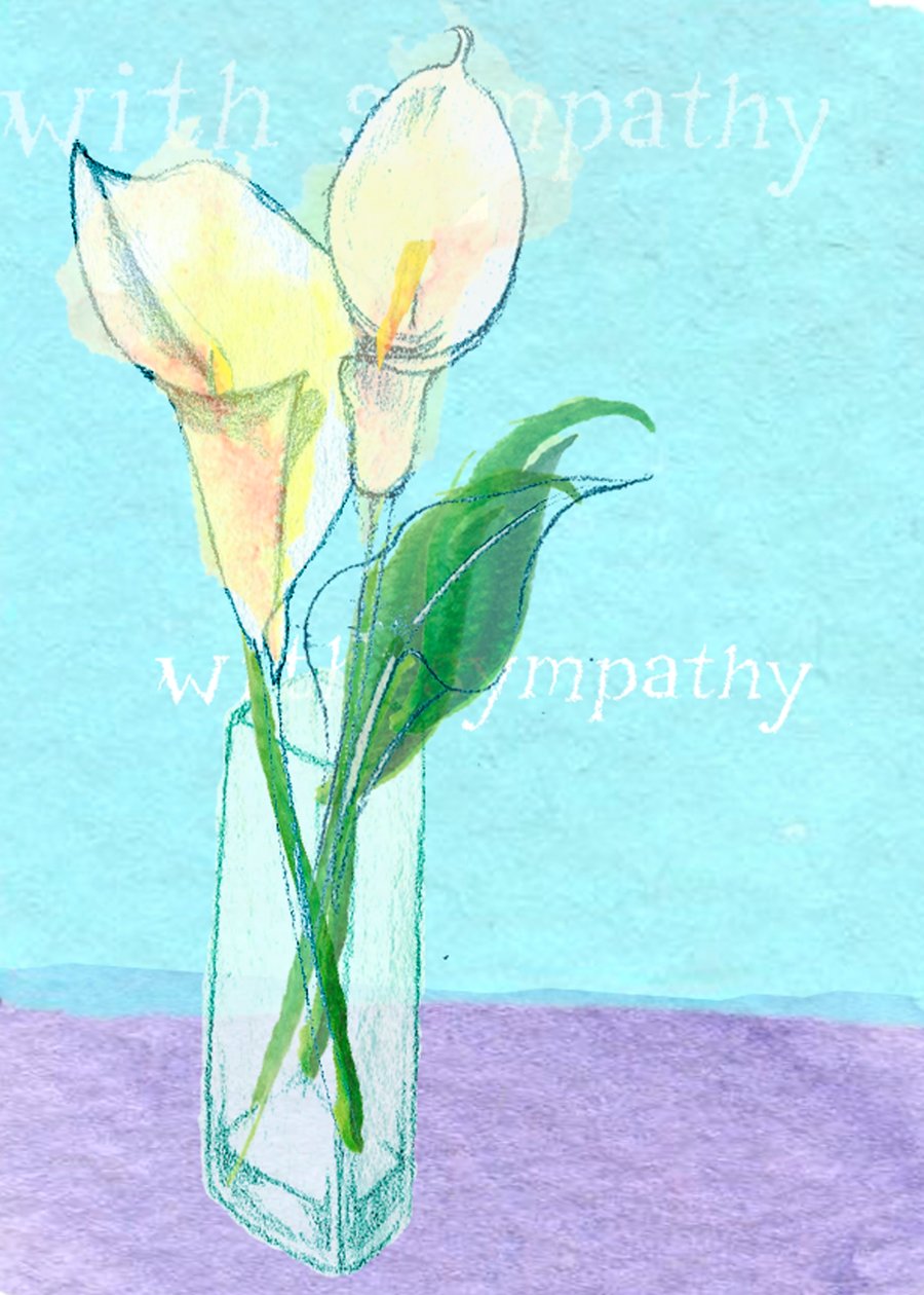 Simpatia de Anna Platts