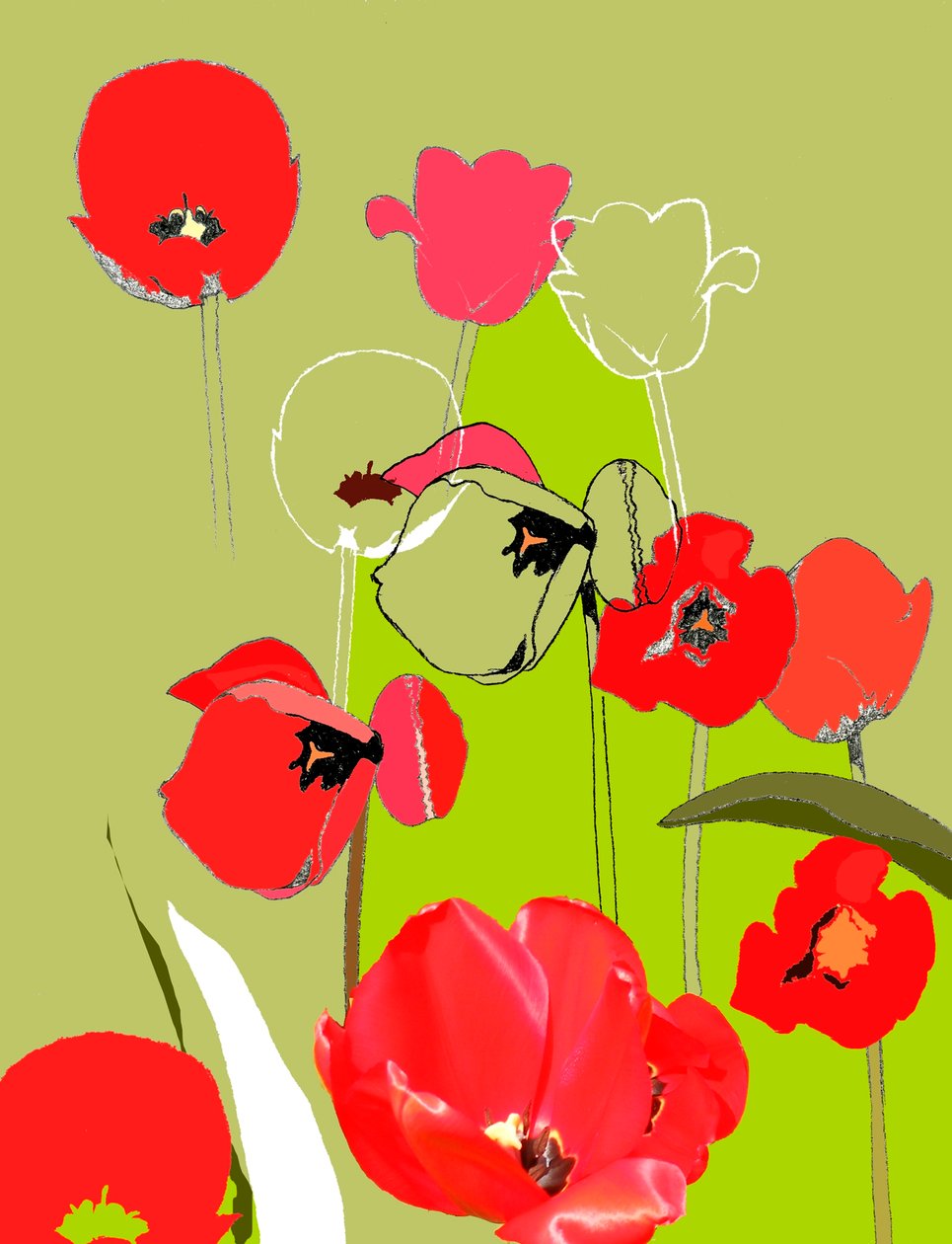 Tulipa de Anna Platts