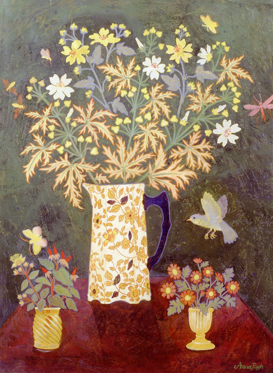 5 insectos e um pássaro de Anna Pugh