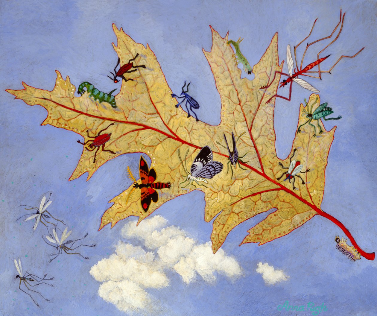 Folha de outono, 2009 (acrílico) de Anna Pugh