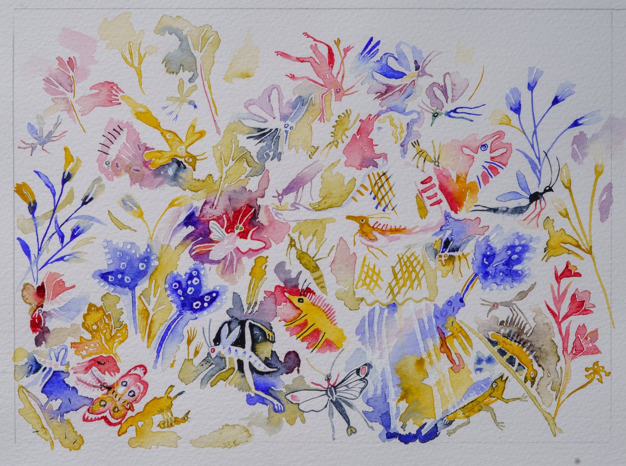 Mundo dos Insectos, 2023 (aguarela) de Anna Pugh