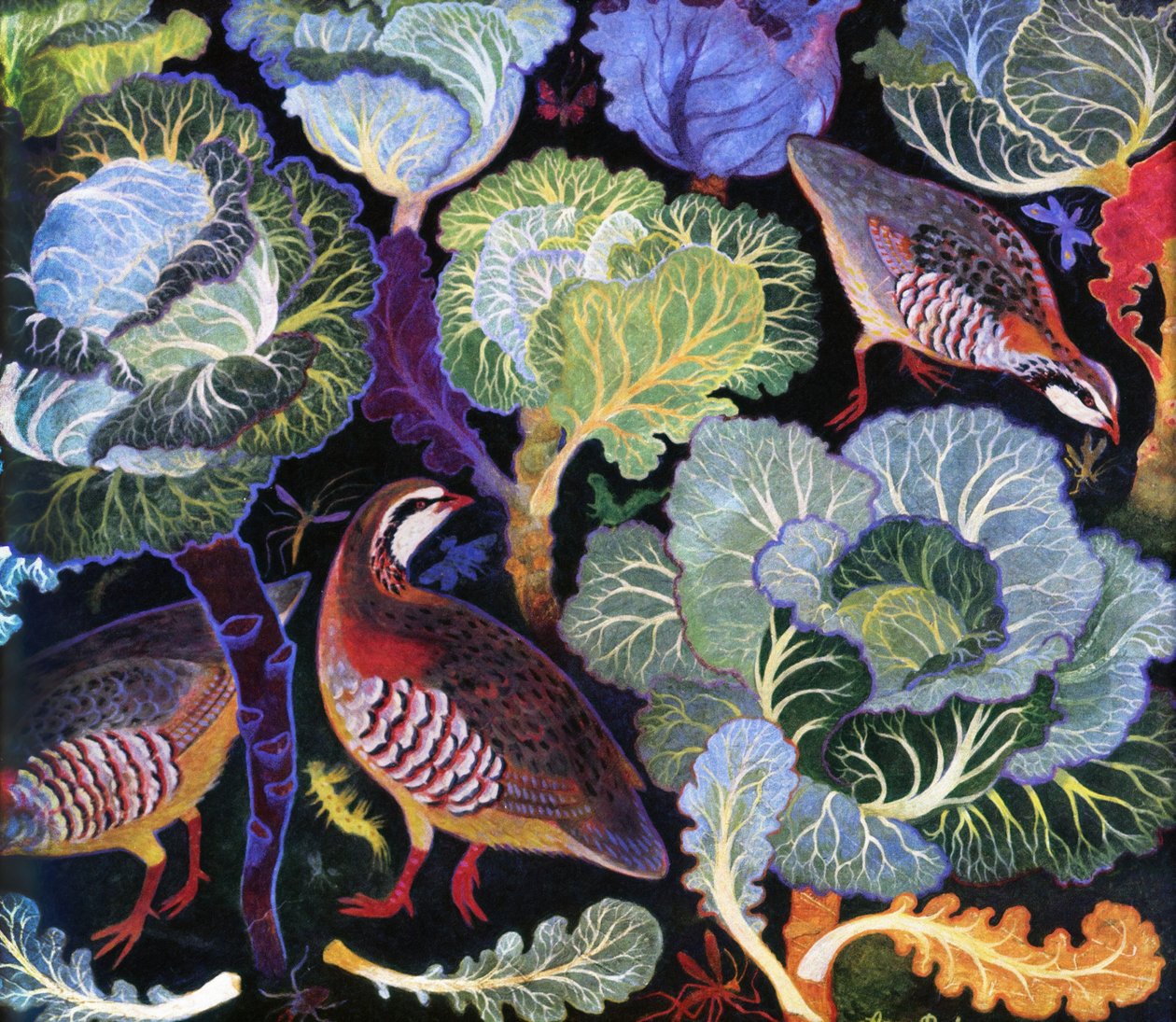 Perdiz numa plantação de couves de Anna Pugh
