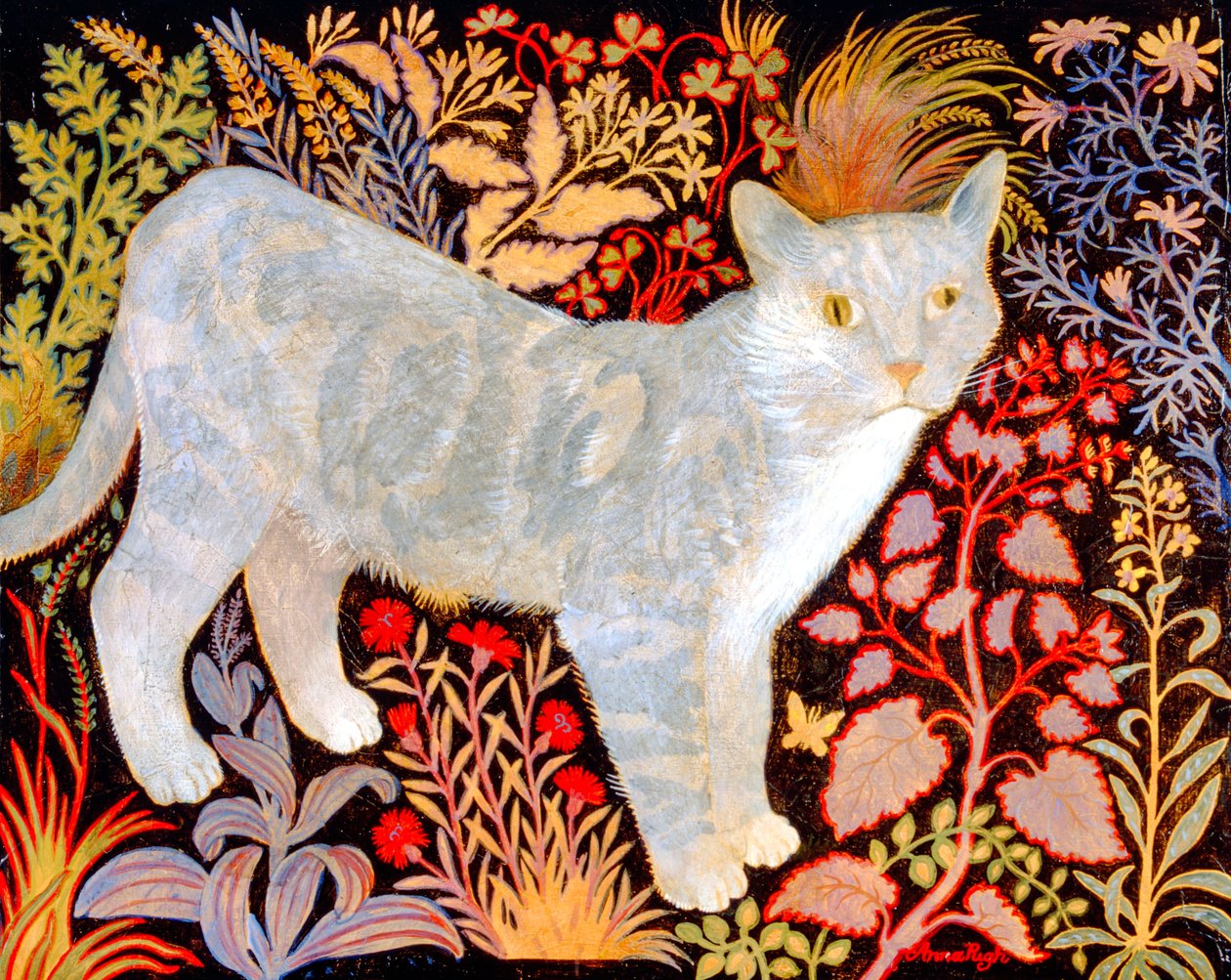 Silver Tabby de Anna Pugh